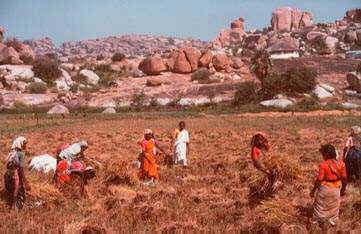 hampi9.jpg (19732 octets)