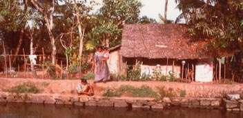 kerala1.jpg (13803 octets)