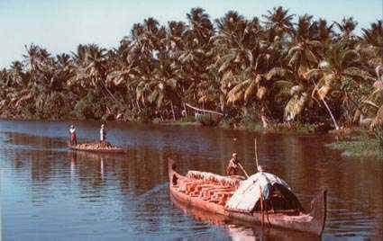 kerala6.jpg (21030 octets)